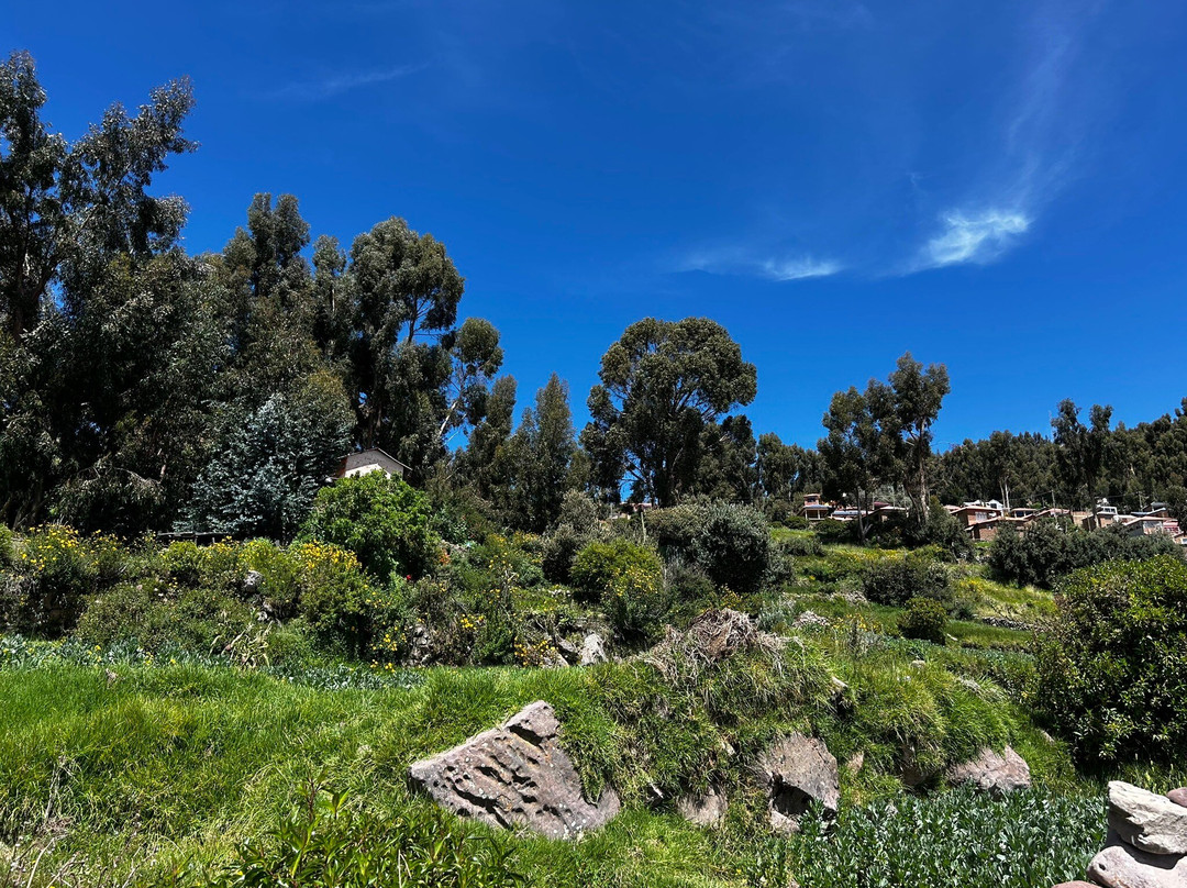 Tikawasi Homestay - Comunidad Pueblo - José Luis Calsin主图