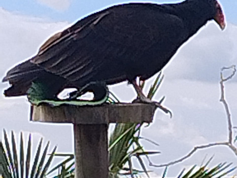 Wild Zoological Park-Bobbington必去景点