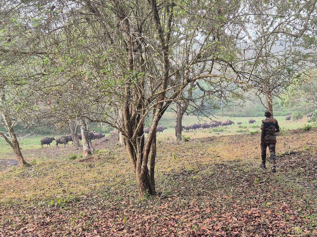 Periyar Tiger Reserve-帖可迪必去景点