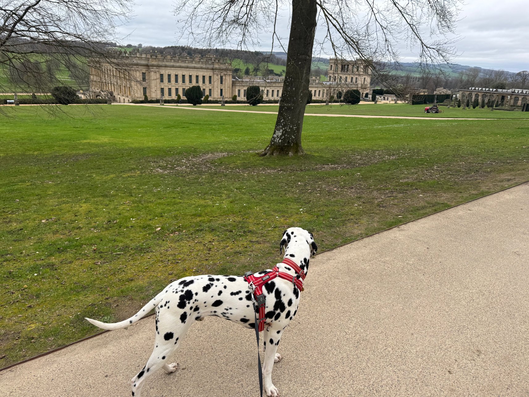 罗宾汉农场住宿加早餐旅馆-官方