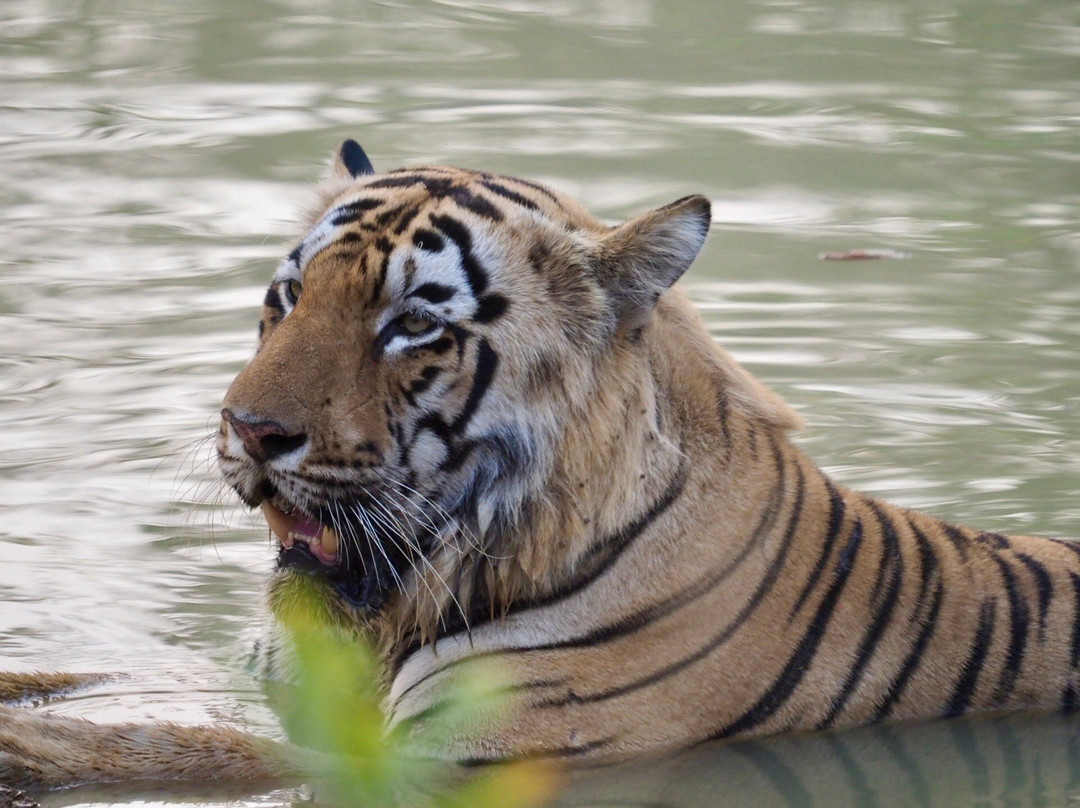 Vacation India-阿格拉必去景点
