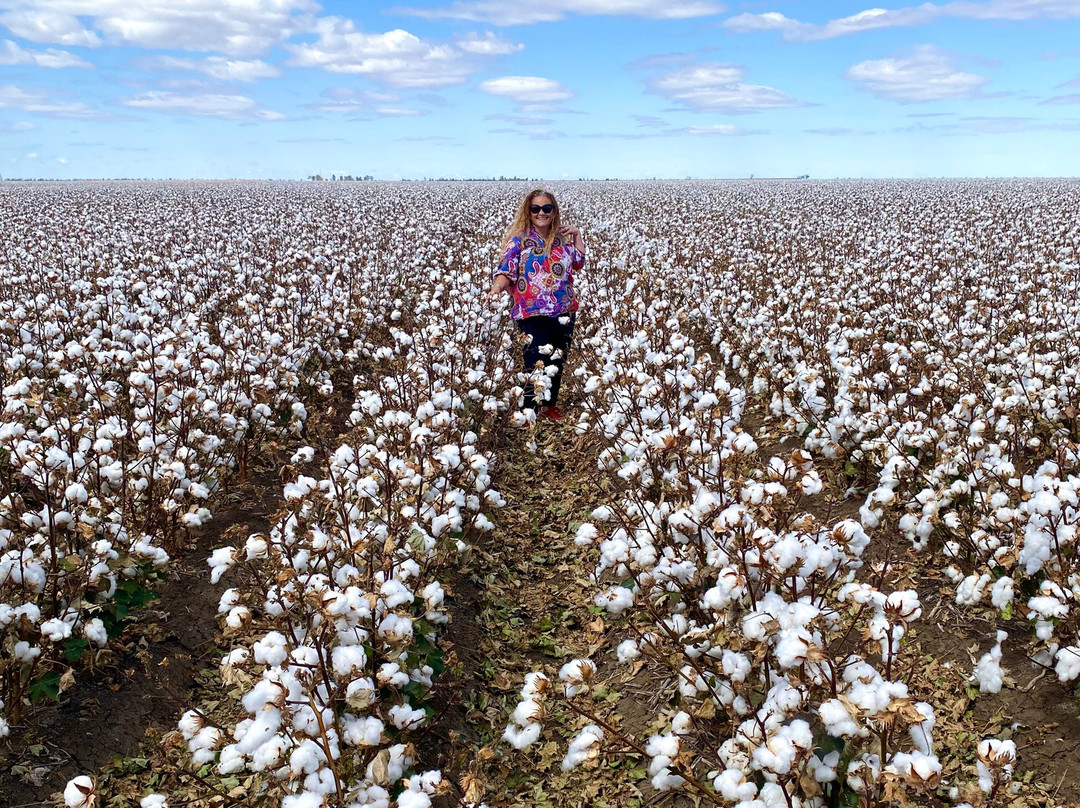 Goondiwindi Cotton-Goondiwindi必去景点