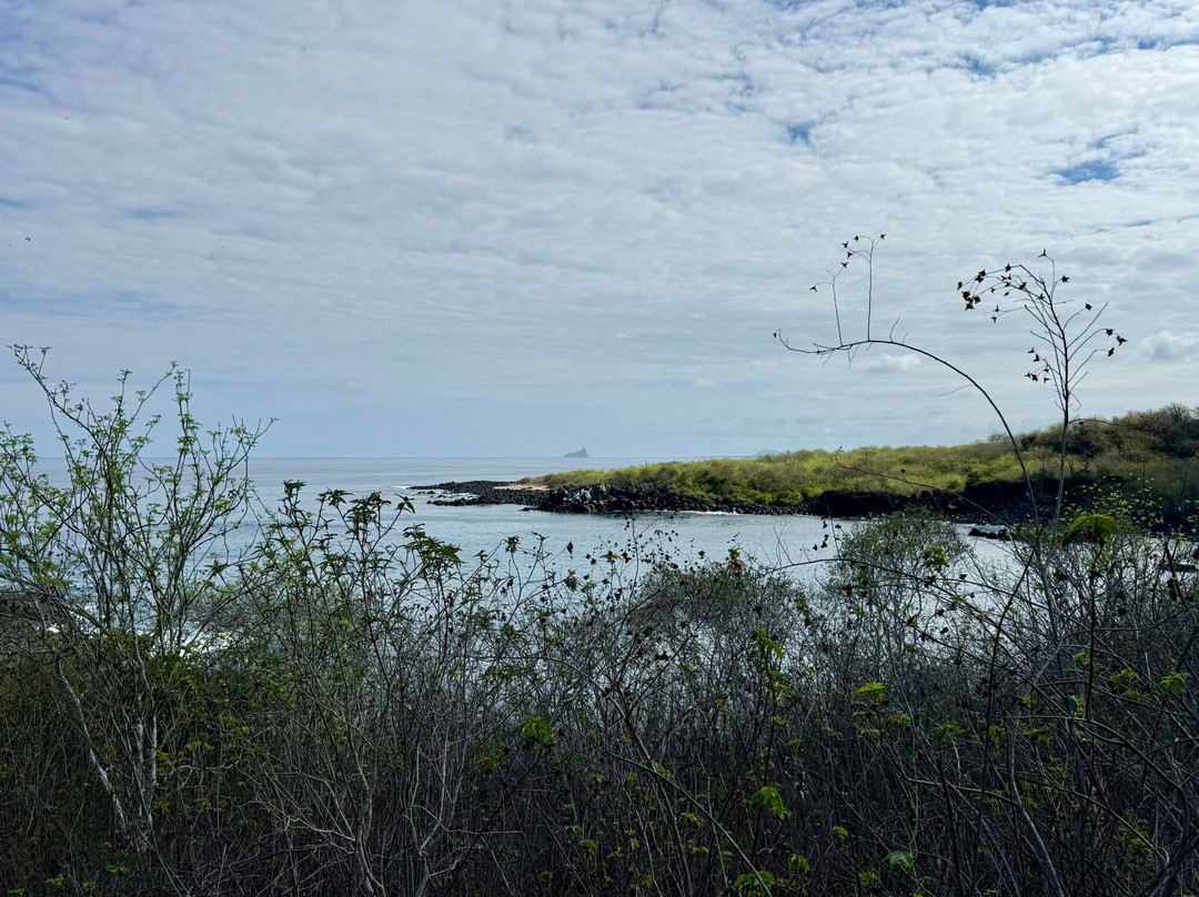 Cerro Tijeretas-Puerto Baquerizo Moreno必去景点