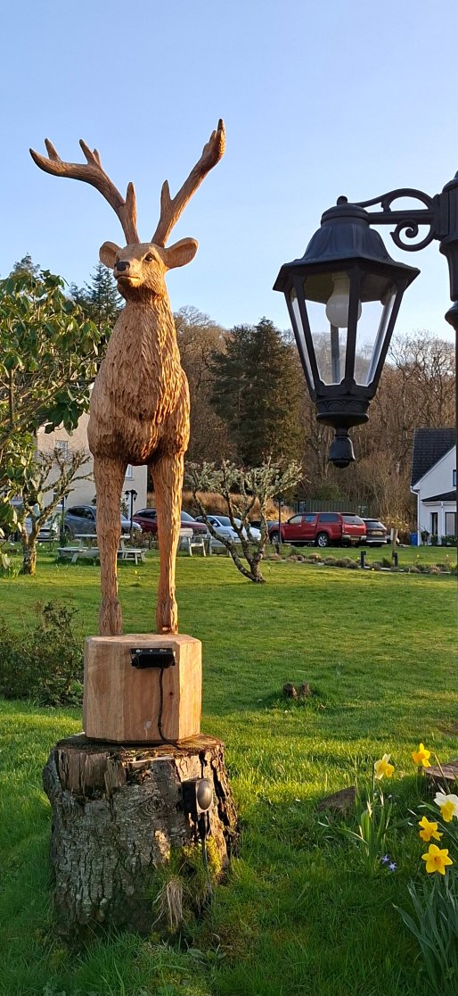 克尼波奇酒店-官方