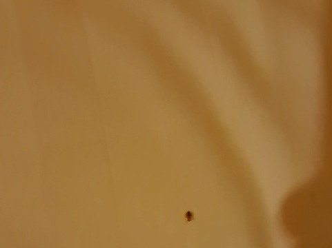 拉纳尔酒店主图