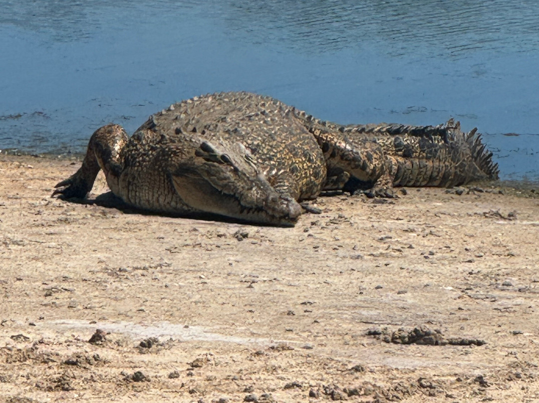Koorana Crocodile Farm-Coowonga必去景点