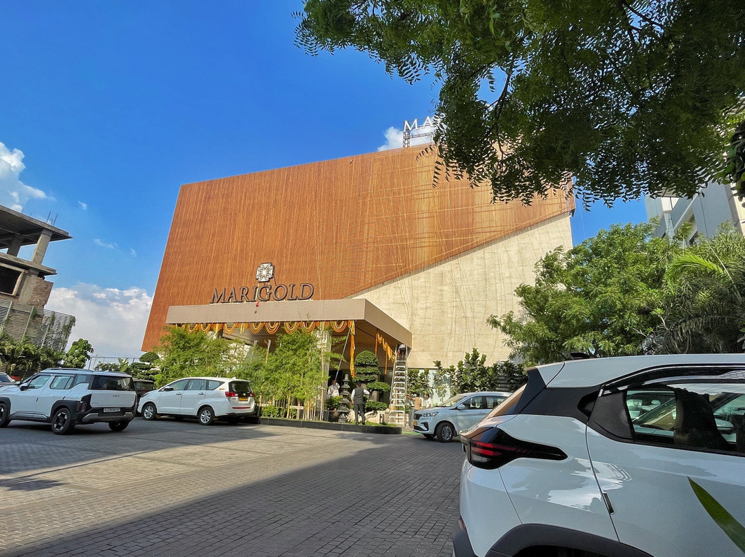 金盏花-新装修酒店主图