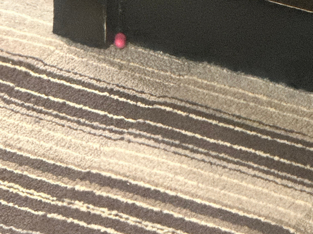 智选假日套房酒店纳奇兹南西主图