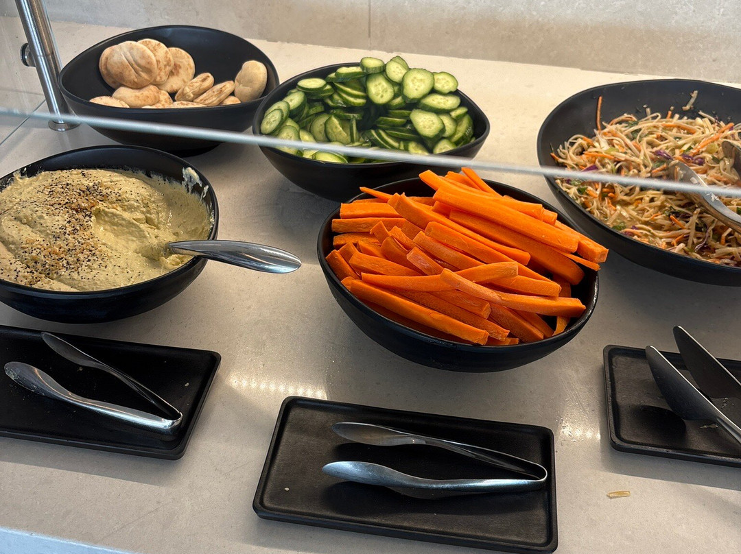 American Airlines Admirals Club-南旧金山必去景点