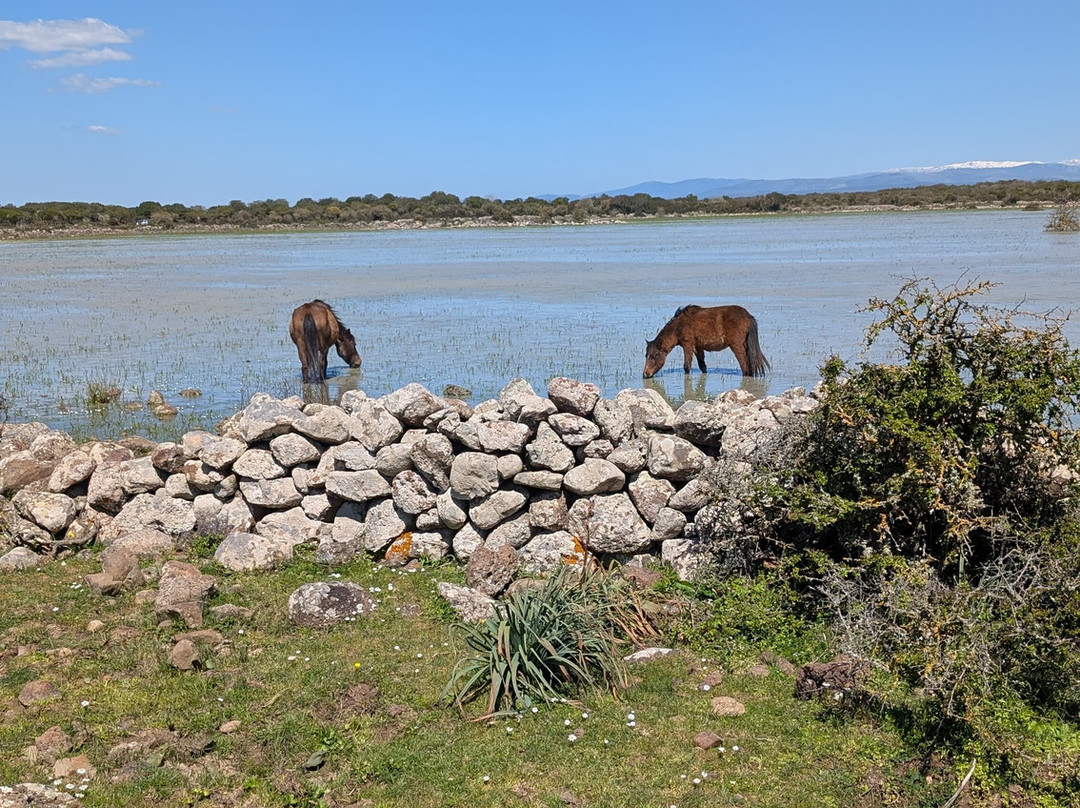 Vivisardinia-Collinas必去景点