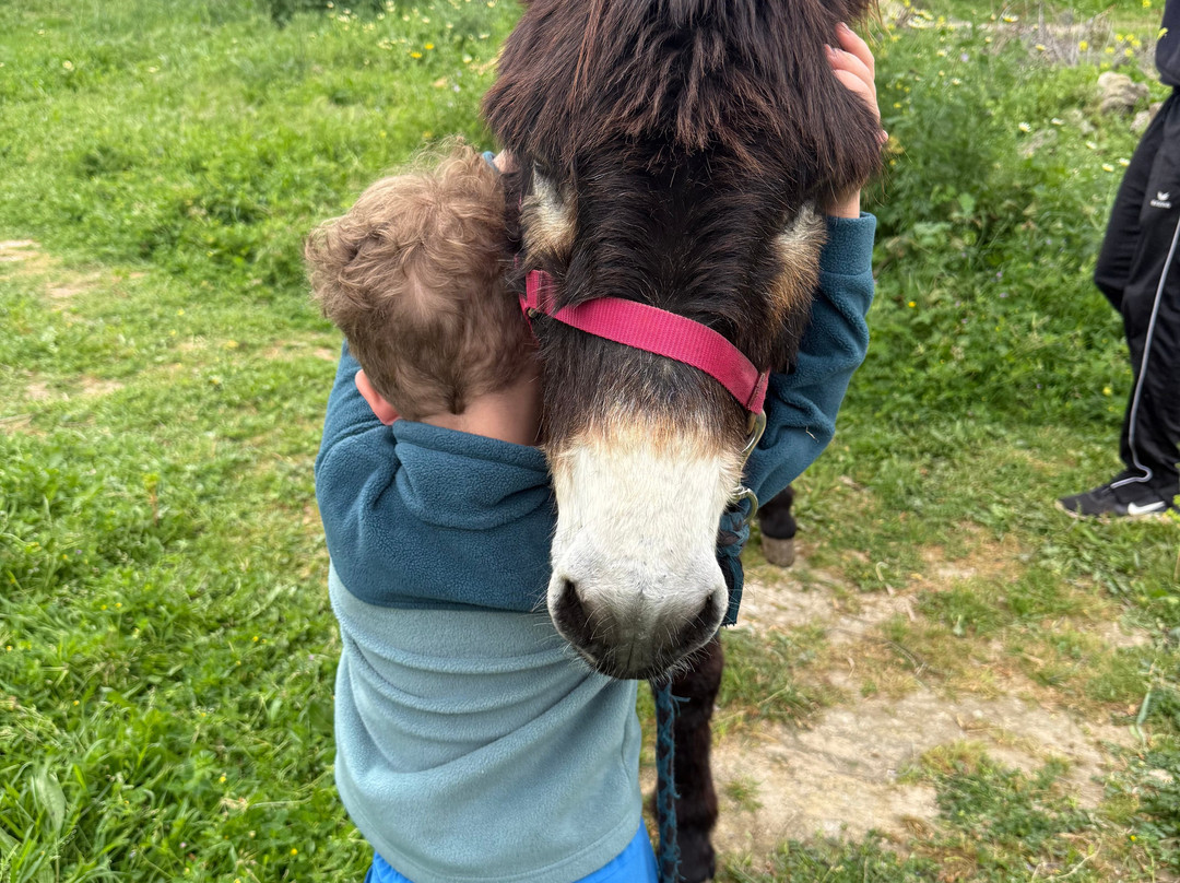 Happy-Donkeys Algarve-Monchique必去景点