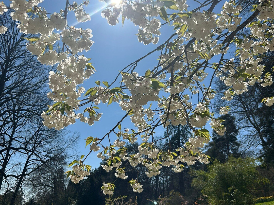 Batsford Arboretum-莫顿因马什必去景点