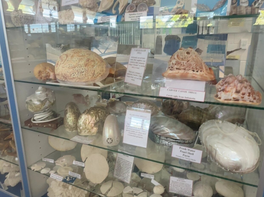 Shell World Yeppoon-Yeppoon必去景点