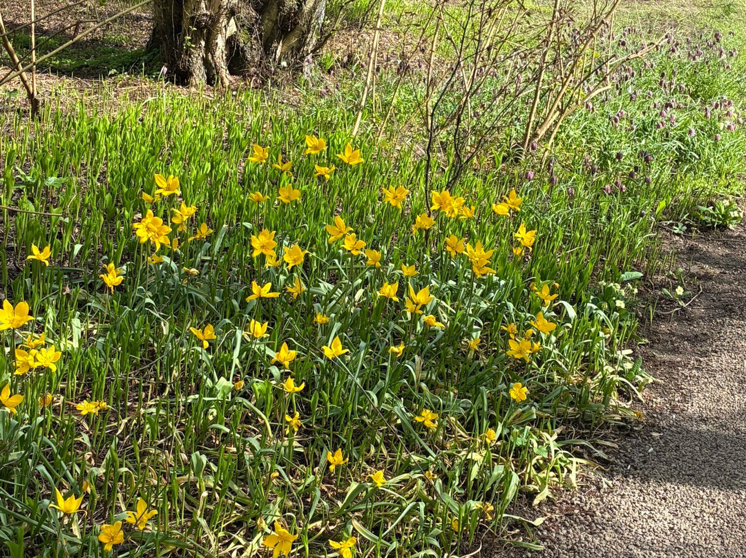 De Braak-阿姆斯特尔芬必去景点