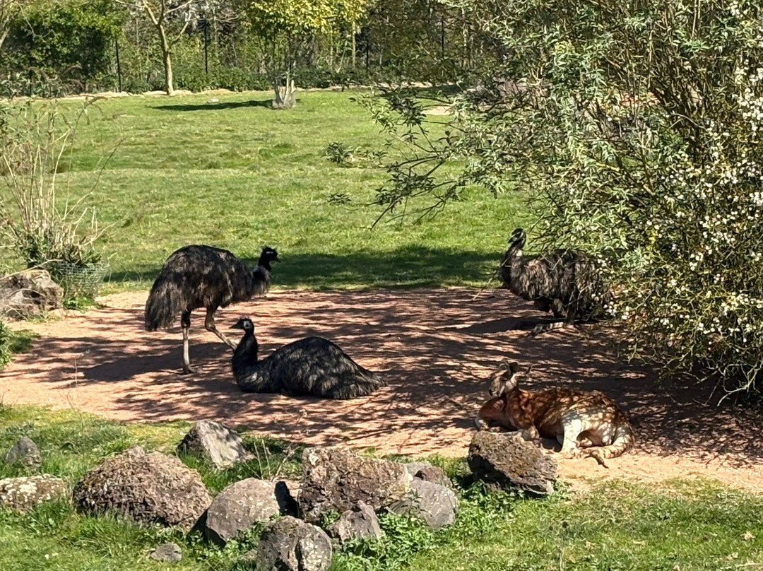 Parc Des Oiseaux-Villars-les-Dombes必去景点