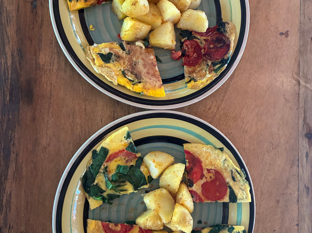 Psychonauta Foundation-伊基托斯必去景点