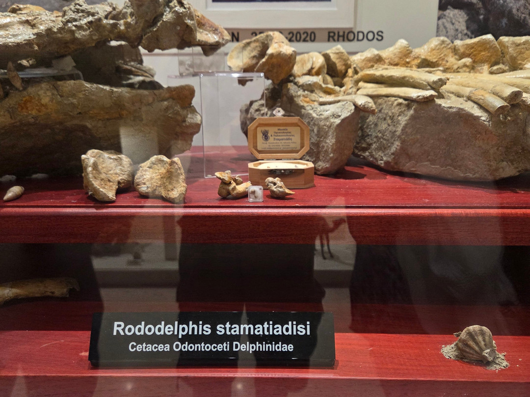 Museum of Mineralogy and Paleontology Stamatiadis-Ialysos必去景点