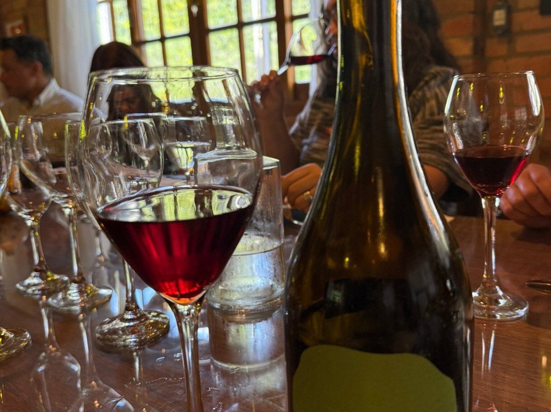 Valparaiso Vinhos E Vinhedos-Barao必去景点