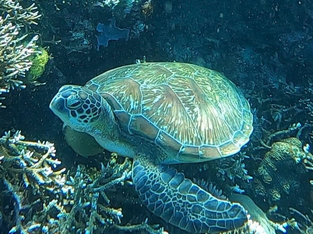 East Indonesia Trip-Labuan Bajo必去景点