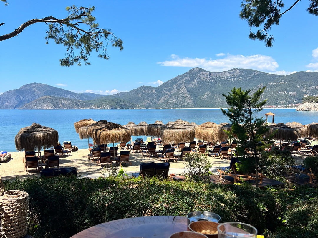 自由利基亚成人酒店主图