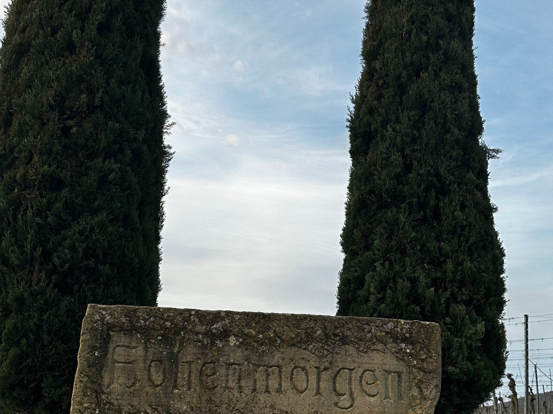 Kaisergarten酒店代德斯海姆主图