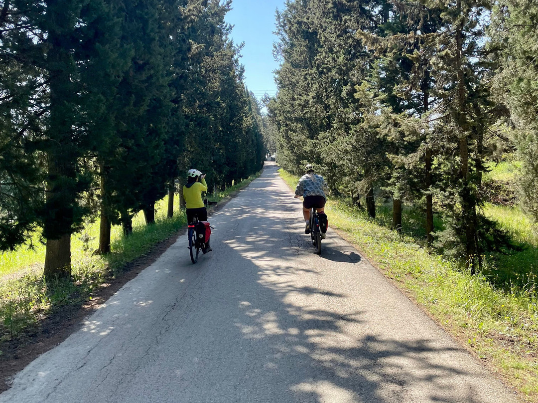 Toscana by Bike-蒙特斯佩托利必去景点
