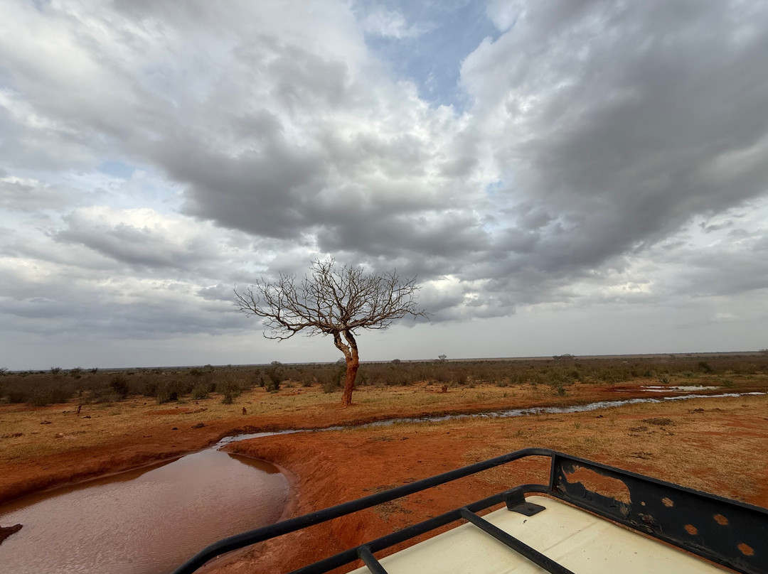 Eddison Safari Kenya-瓦塔木必去景点