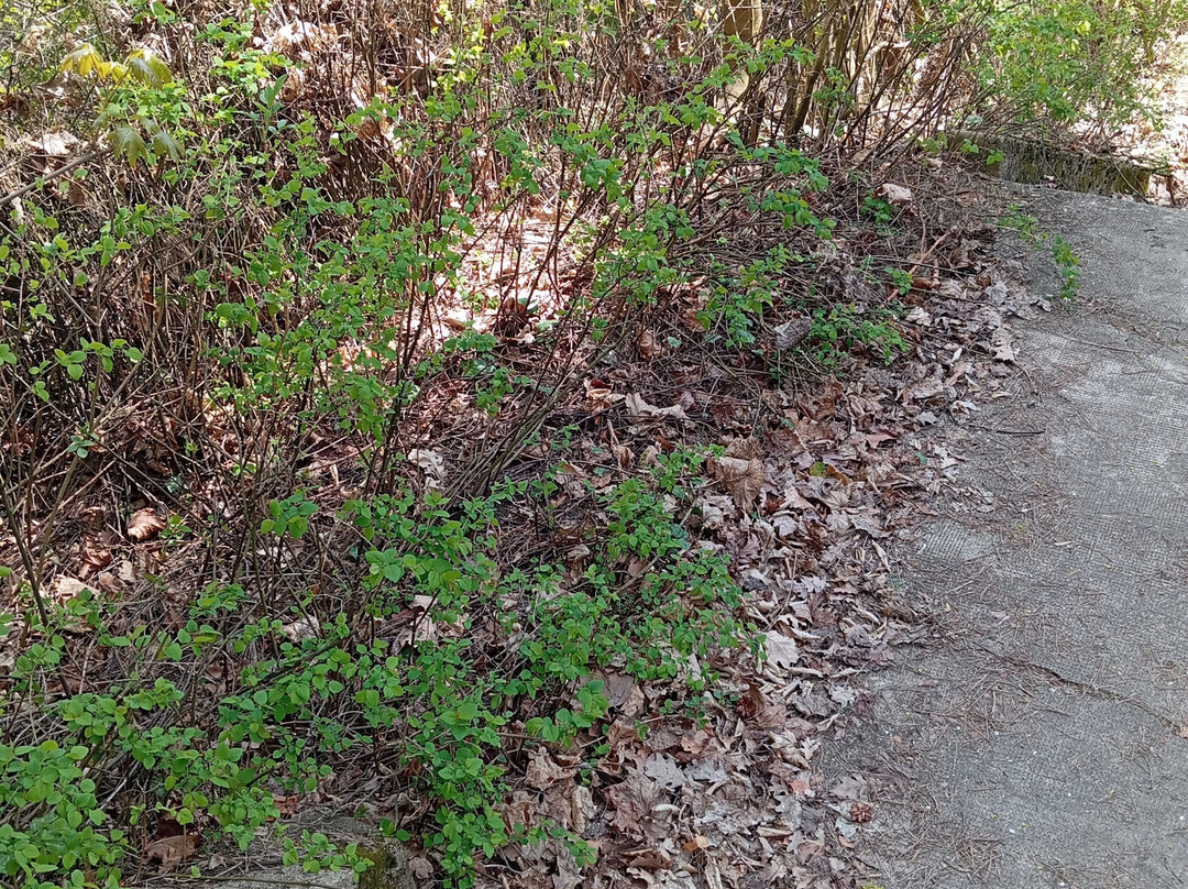 伊丽莎白公园酒店主图