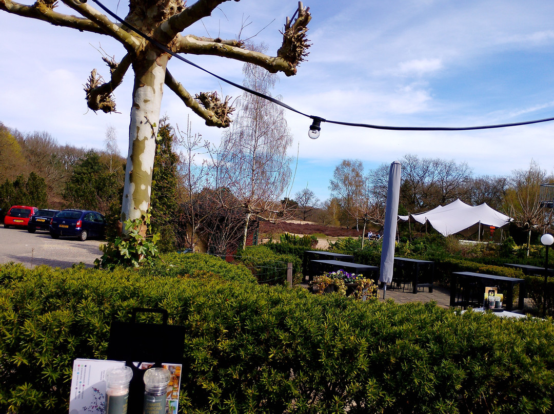 弗莱彻酒店主图