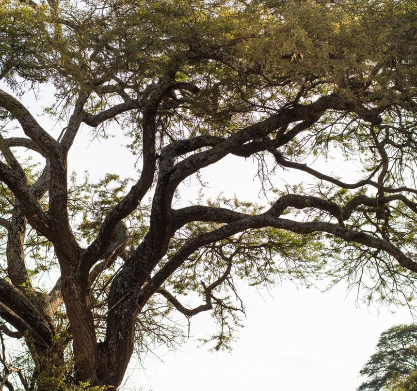 A premier Destination Wedding Company-Dar es Salaam必去景点