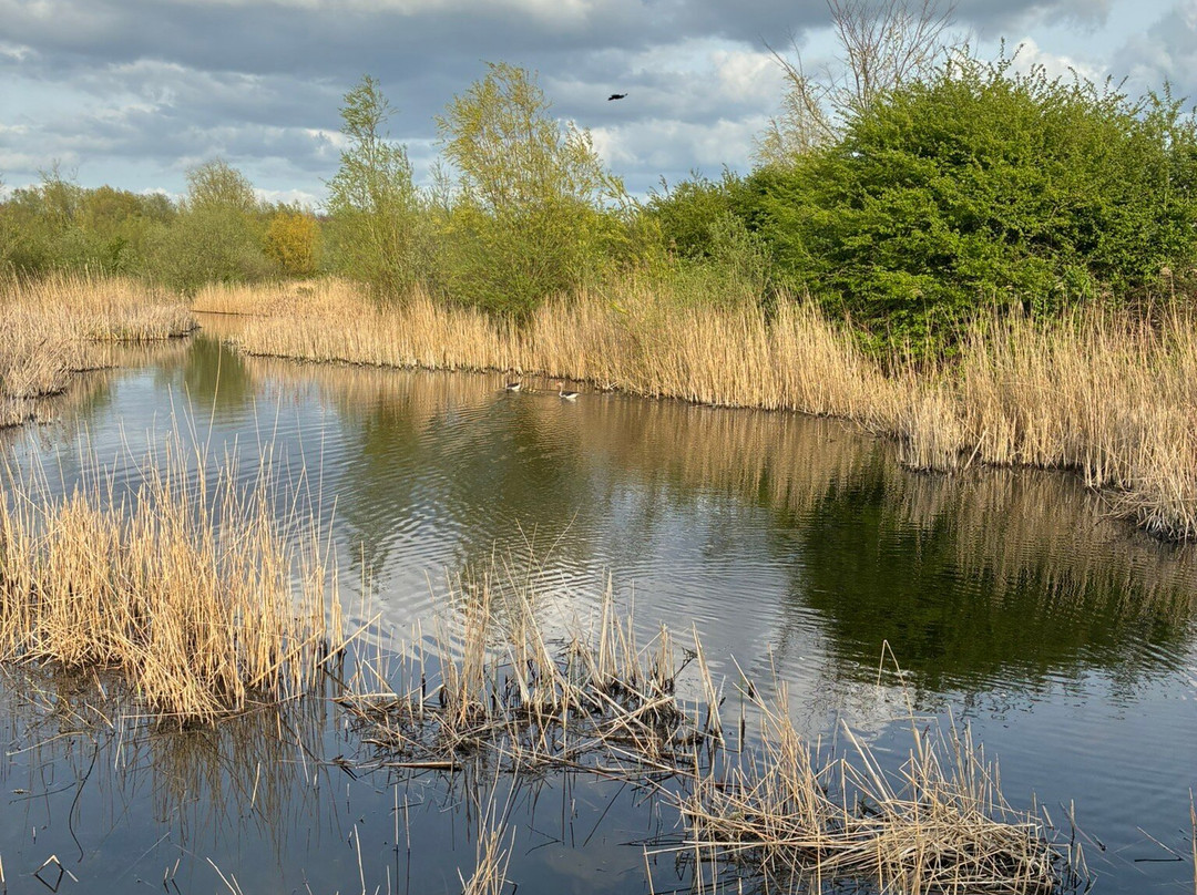Schinkelbos-Aalsmeer必去景点
