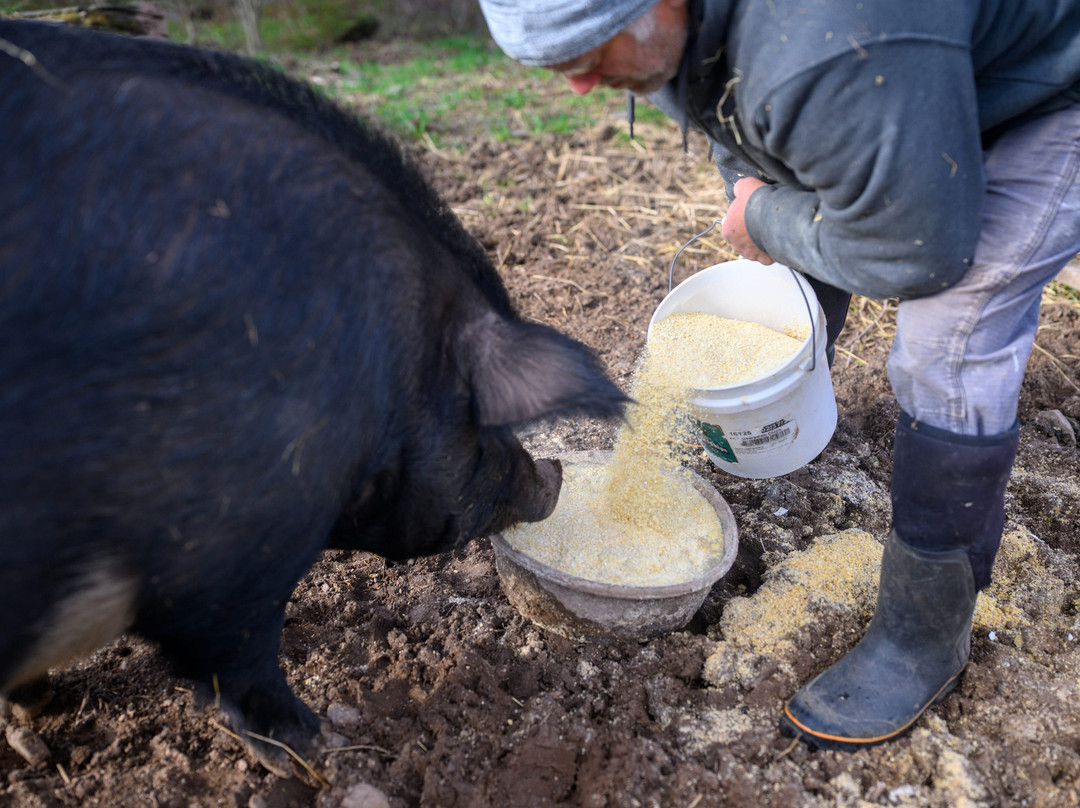 The Bovina Center for Sustainability-Bovina Center必去景点