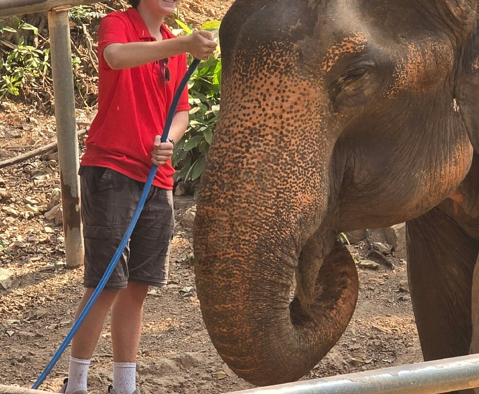 Pattaya Elephant Sanctuary-Bang Sare必去景点