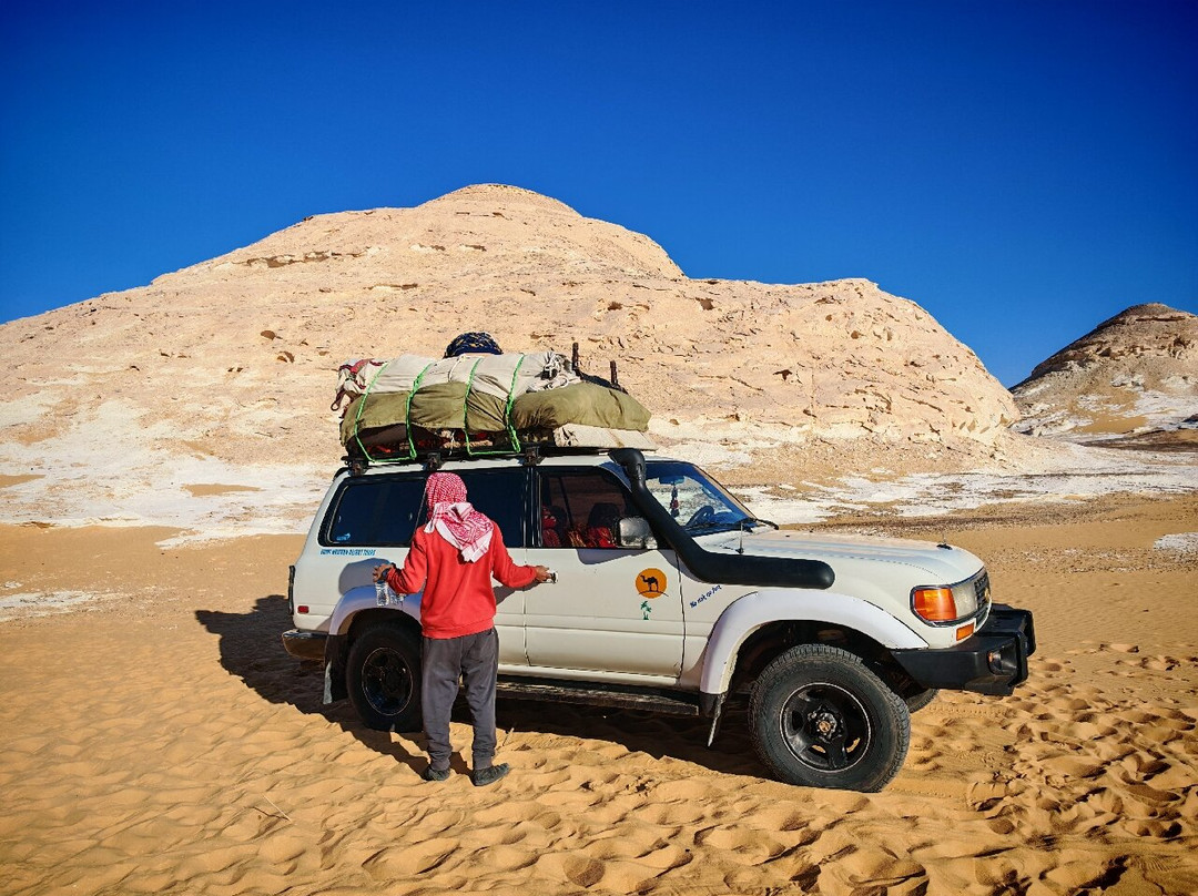 Egypt Western Desert Tours - Day Tour-Bawiti必去景点