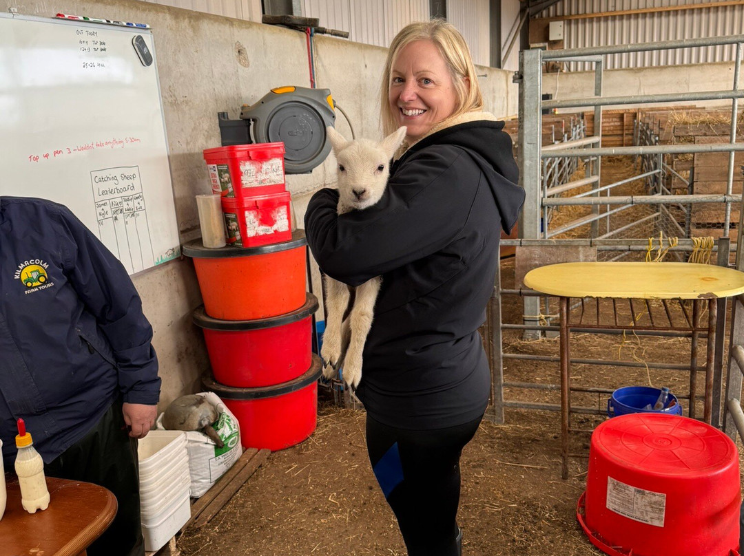 Kilmacolm Farm Tours-Cairncurran必去景点