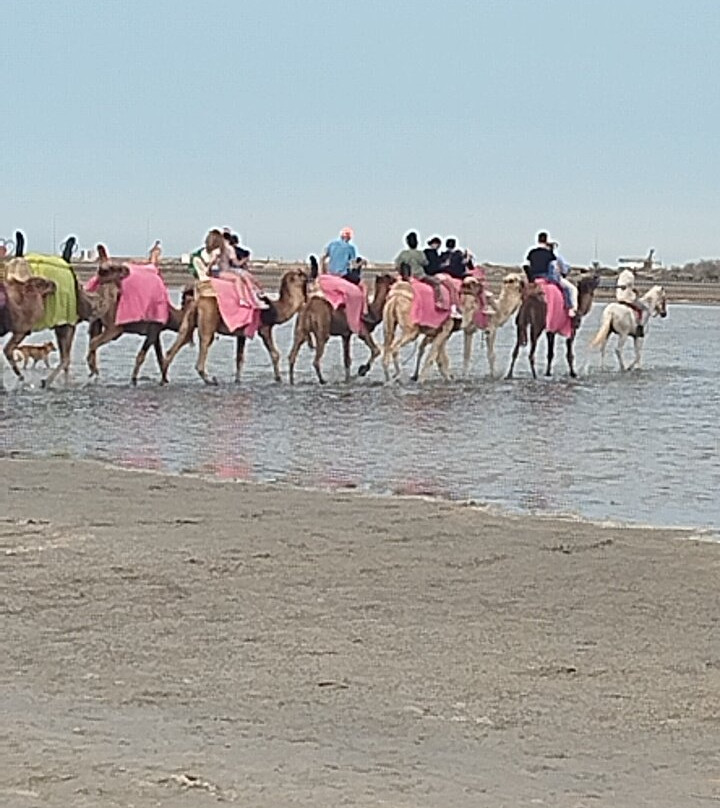 Ennakhil de tourisme Djerba-米栋必去景点