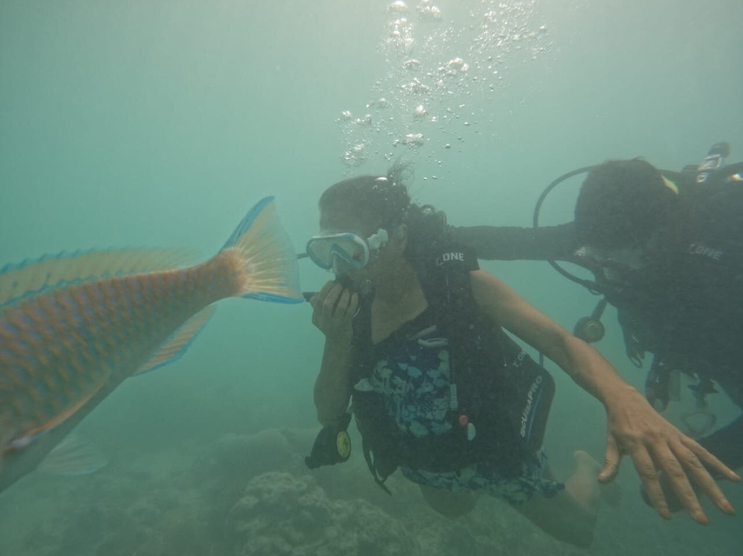 Bangaram Island Beach Resort主图