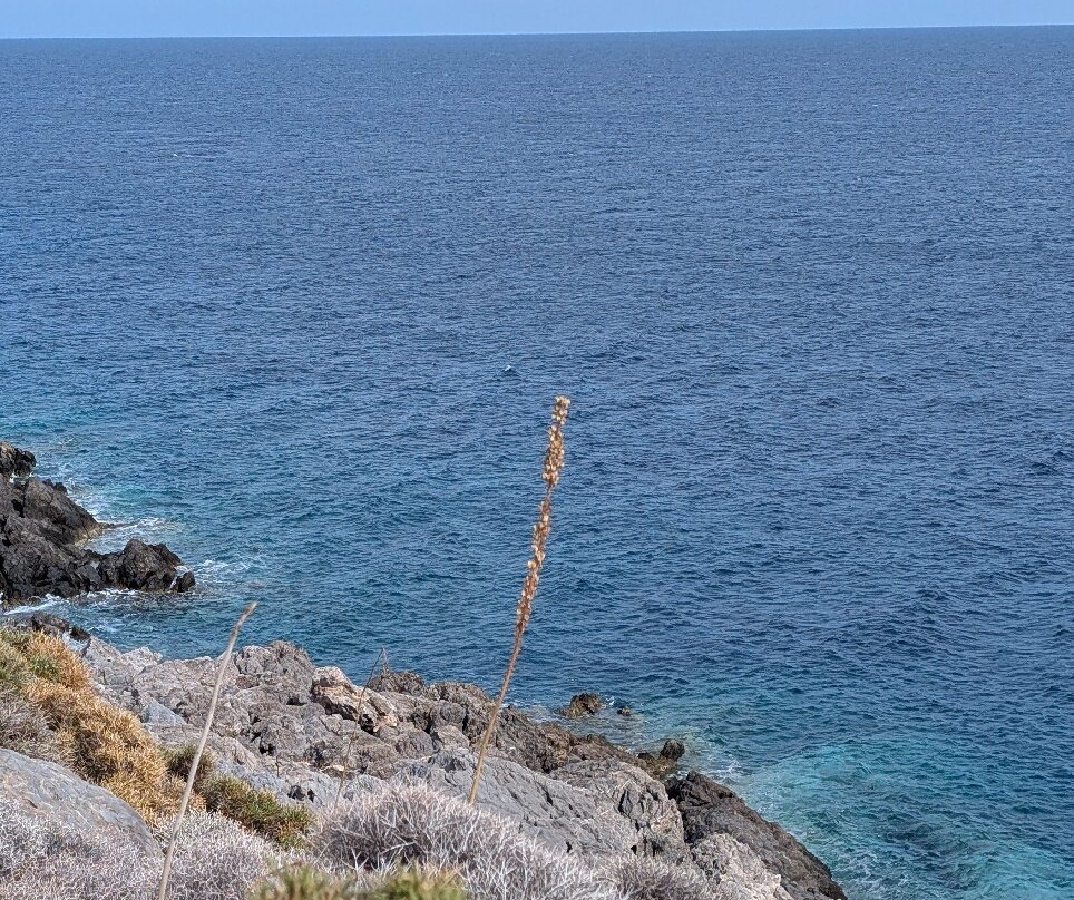 Kato Zakros Beach-Kato Zakros必去景点