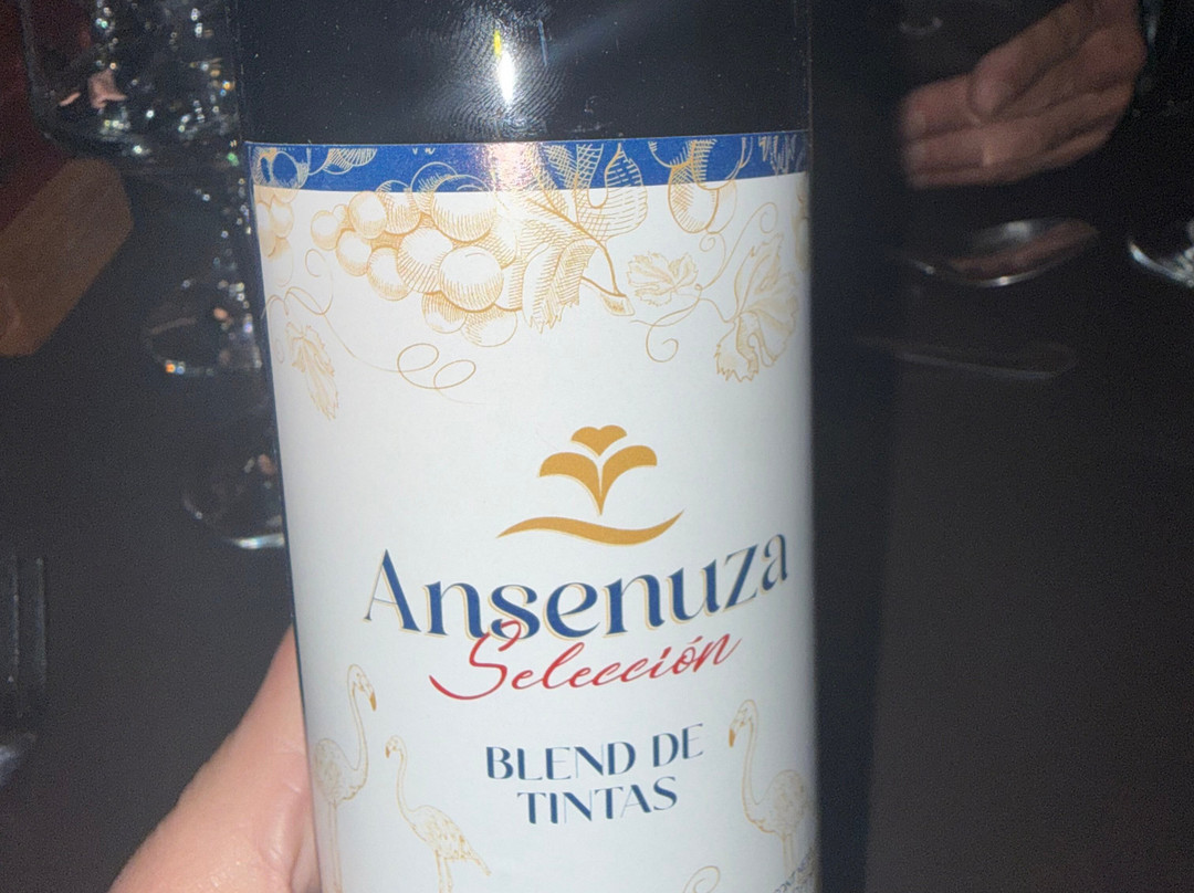 Ansenuza Hotel Casino Spa主图