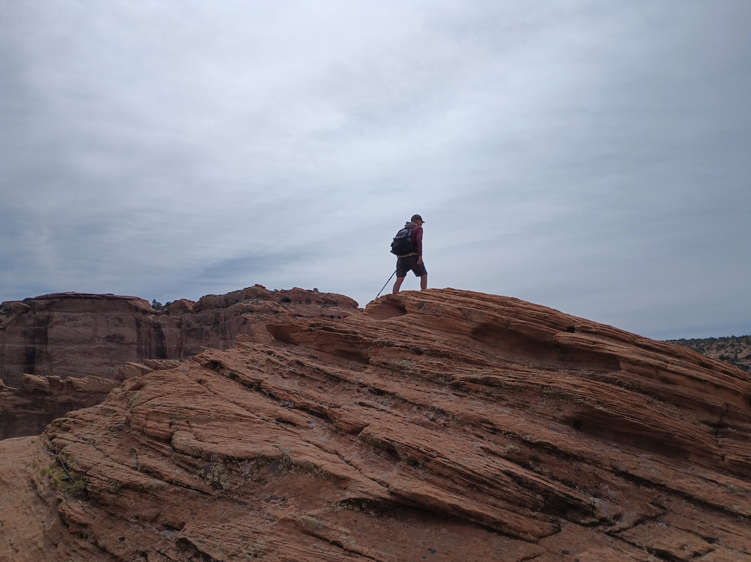 Canyon De Chelly Tours, Llc.-Chinle必去景点