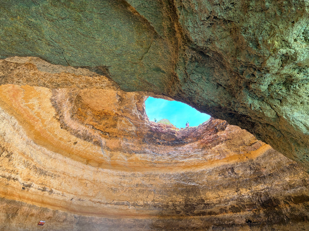 Wildwatch Algarve-费拉古多必去景点