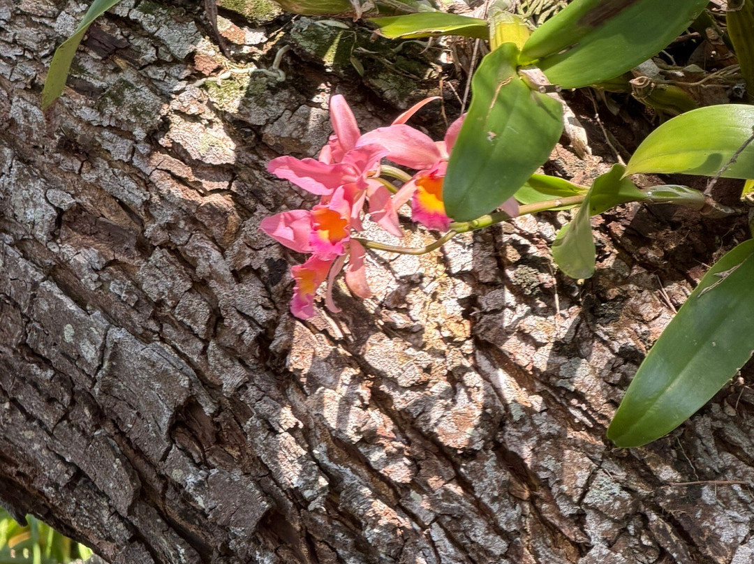 Na Aina Kai Botanical Gardens-基拉韦厄必去景点
