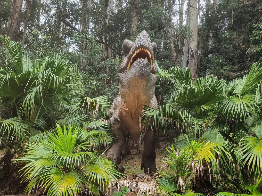 Vale Dos Dinossauros-卡内拉必去景点