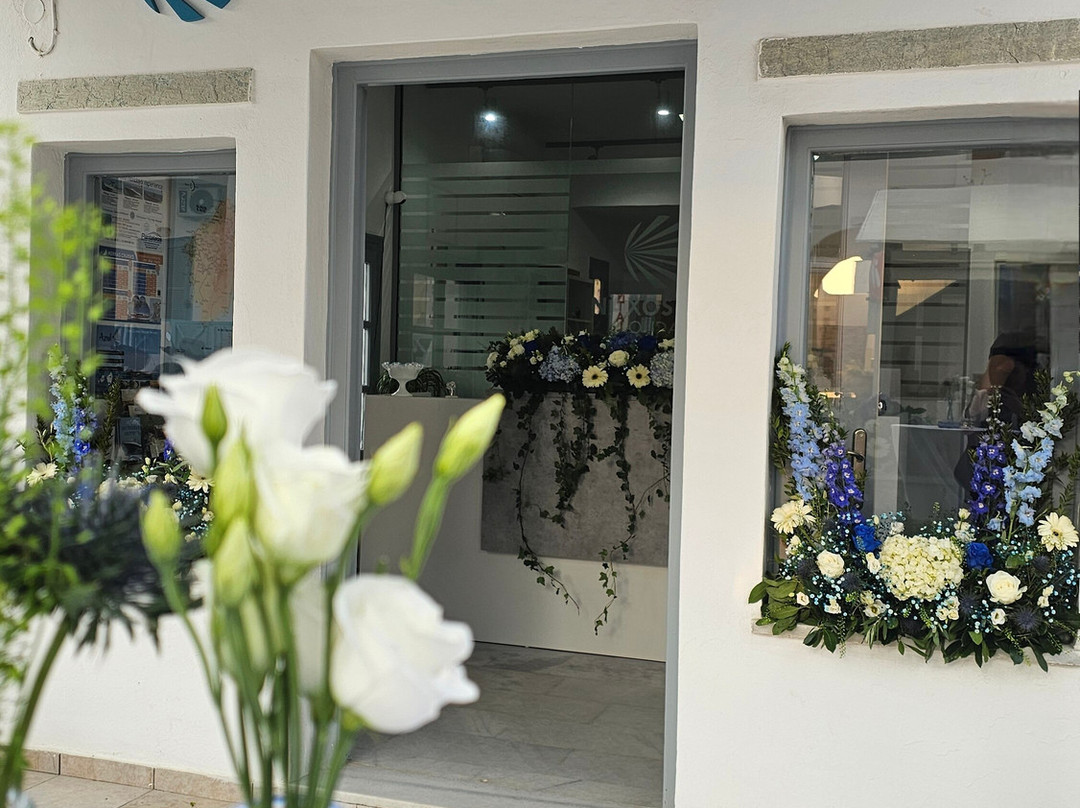 Naxos Sun Holidays-纳克索斯岛必去景点