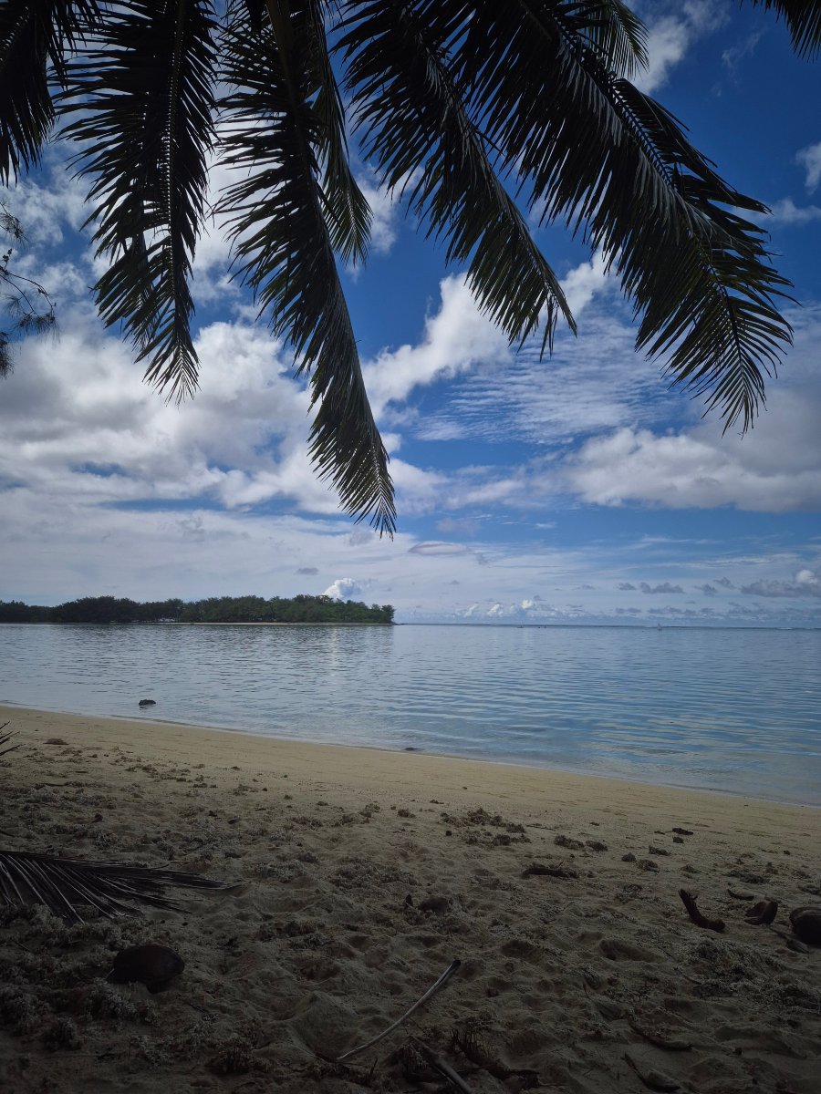 Muri Lagoon Lodge-泳池