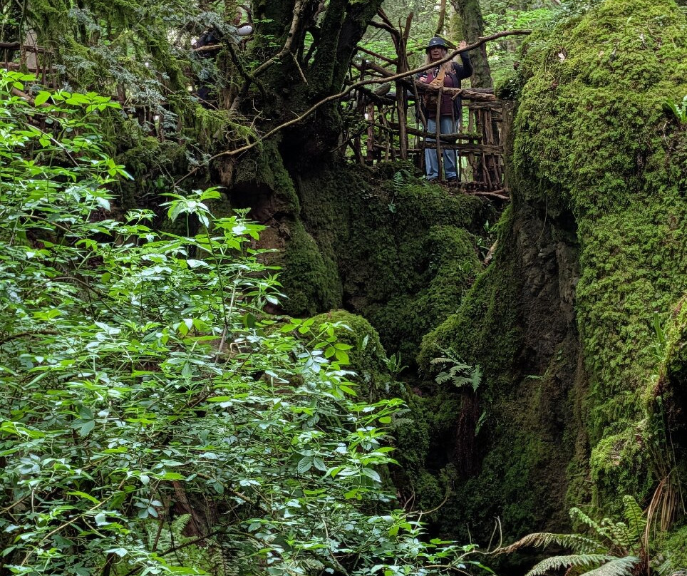 Puzzlewood-Coleford必去景点