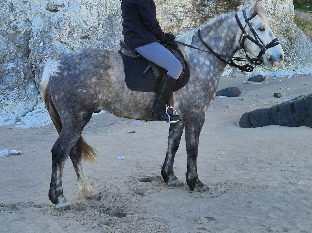Bespoke Equestrian Ireland-都柏林必去景点