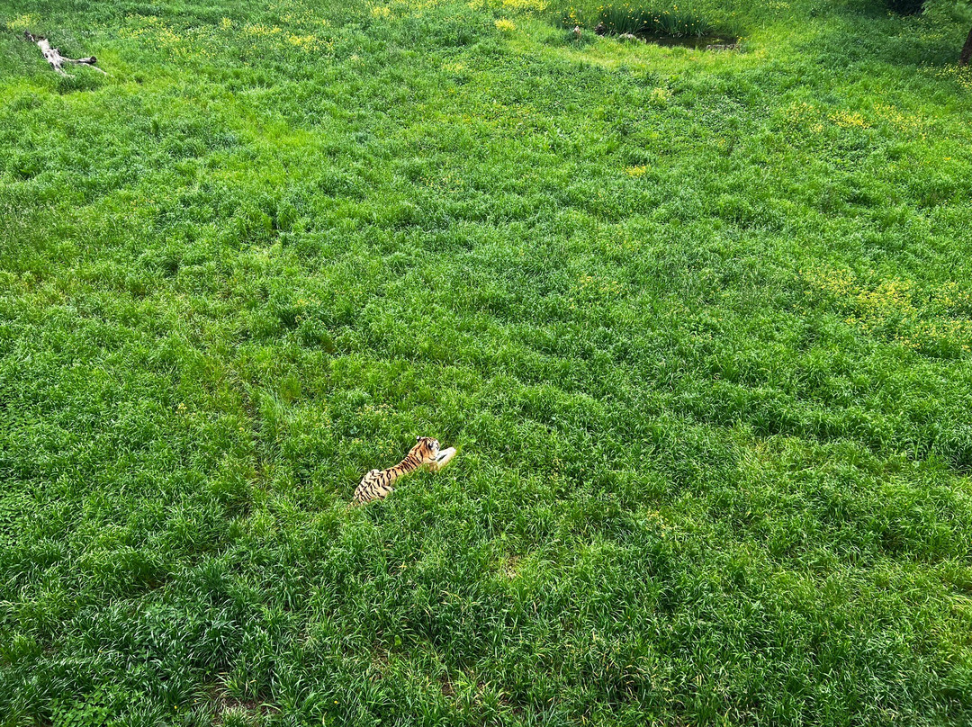 Parque de la Naturaleza de Cabarceno-Obregon必去景点
