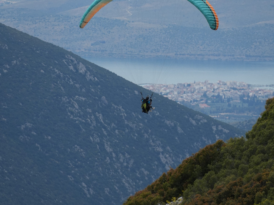 Paragliding Fun-德尔斐必去景点