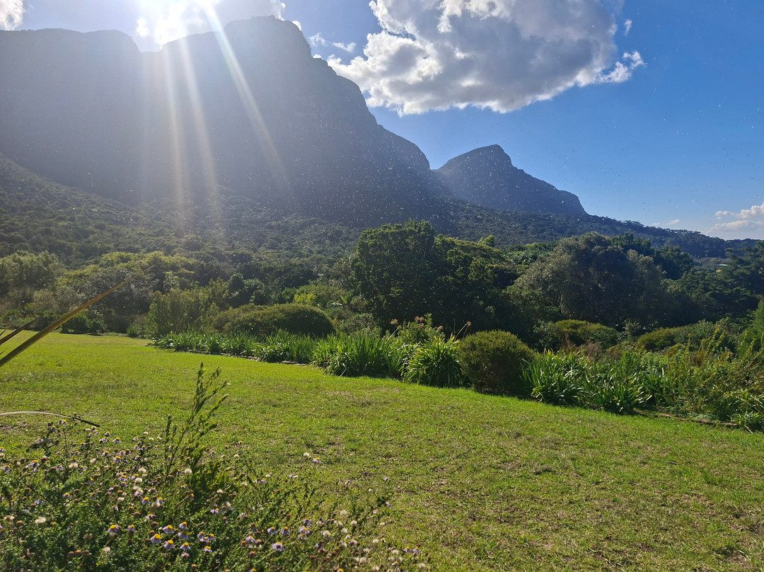 康斯坦博西国家植物园-Newlands必去景点